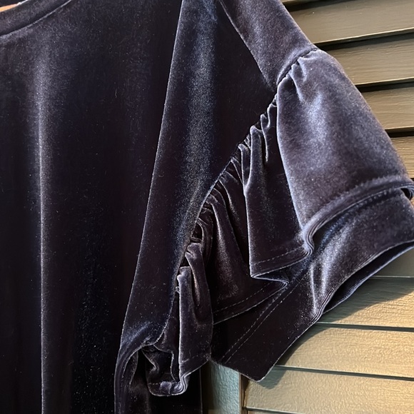 Madewell velvet ruffle sleeve top - size M - Picture 2 of 6